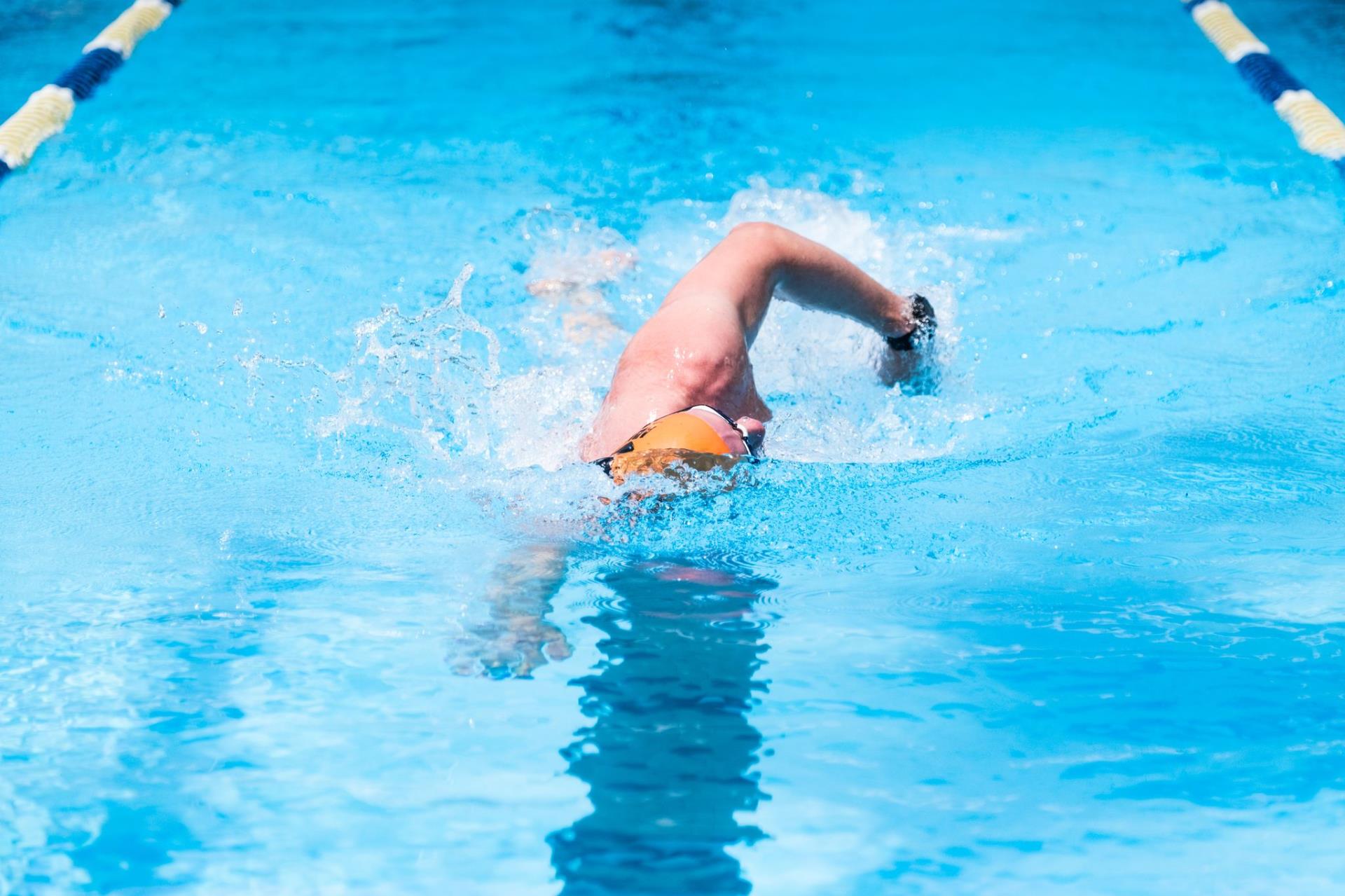 Lap Swimming Image